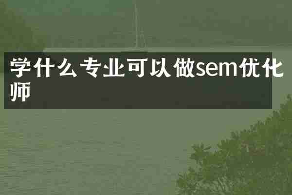 学什么专业可以做sem优化师