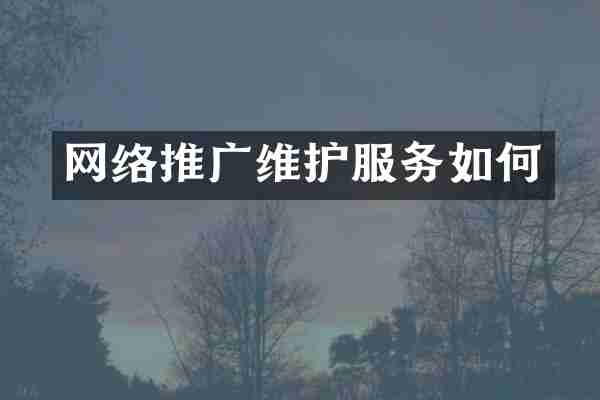 网络推广维护服务如何