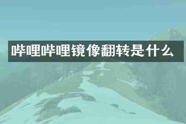 哔哩哔哩镜像翻转是什么