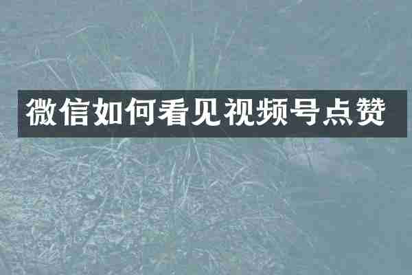 微信如何看见视频号点赞
