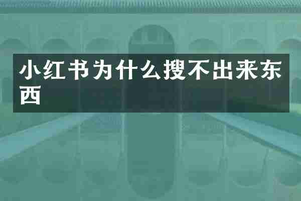 小红书为什么搜不出来东西