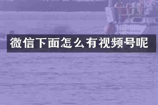 微信下面怎么有视频号呢