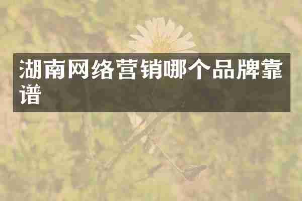 湖南网络营销哪个品牌靠谱