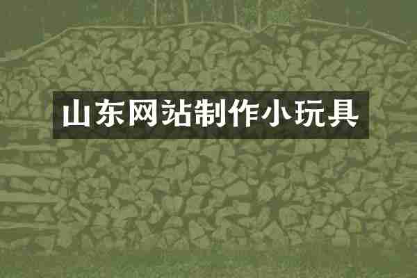 山东网站制作小玩具