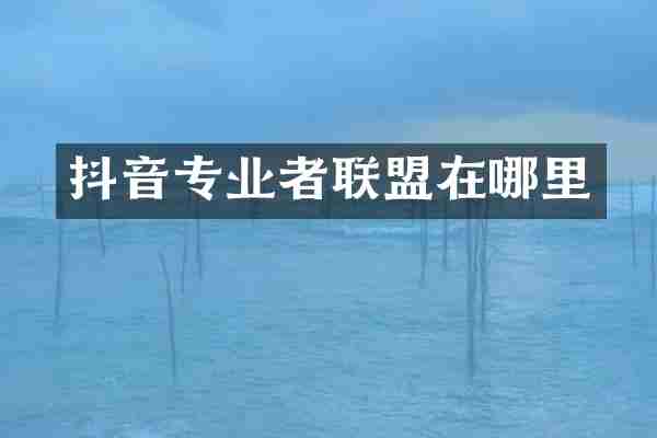 抖音专业者联盟在哪里