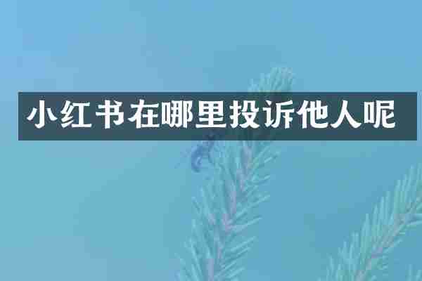 小红书在哪里投诉他人呢