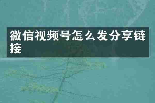 微信视频号怎么发分享链接
