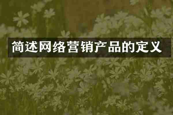简述网络营销产品的定义
