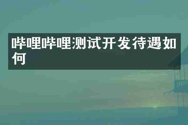 哔哩哔哩测试开发待遇如何