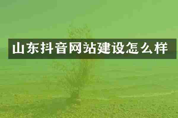 山东抖音网站建设怎么样