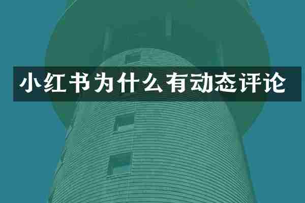 小红书为什么有动态评论