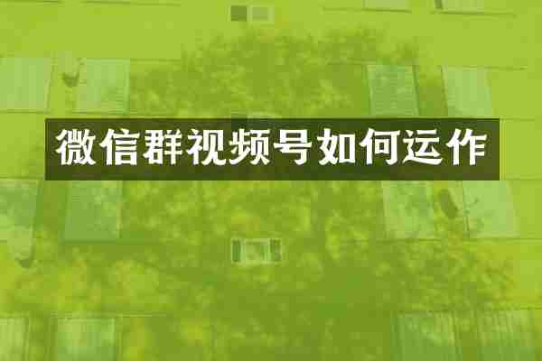 微信群视频号如何运作