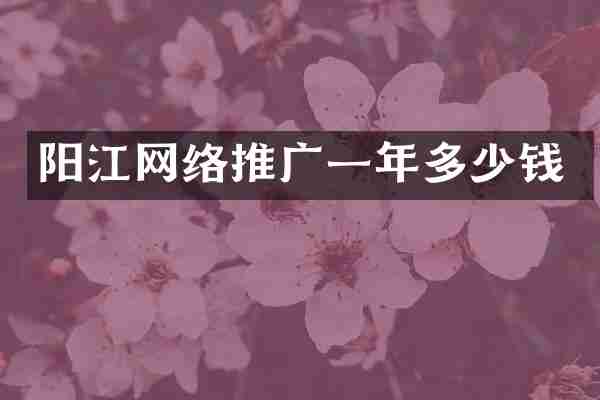 阳江网络推广一年多少钱