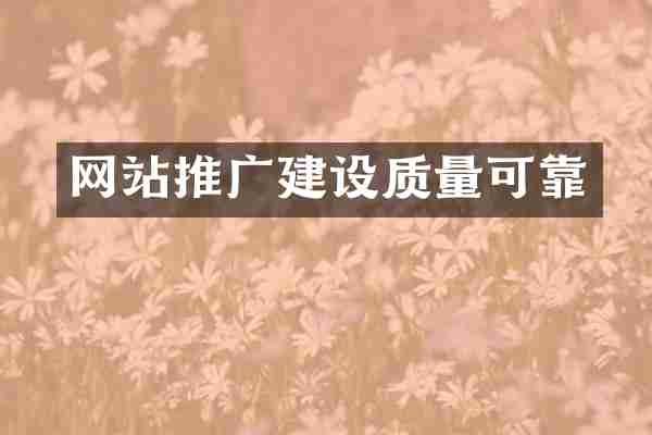 网站推广建设质量可靠