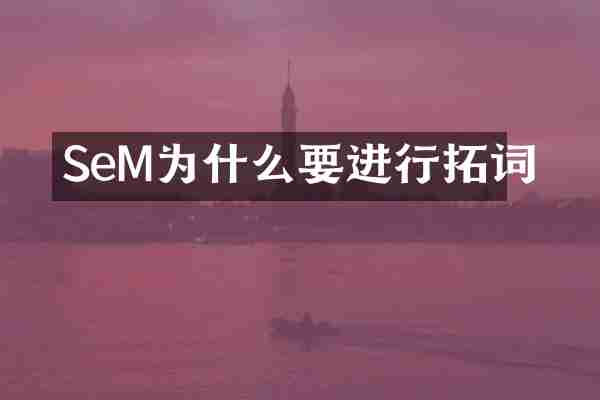 SeM为什么要进行拓词