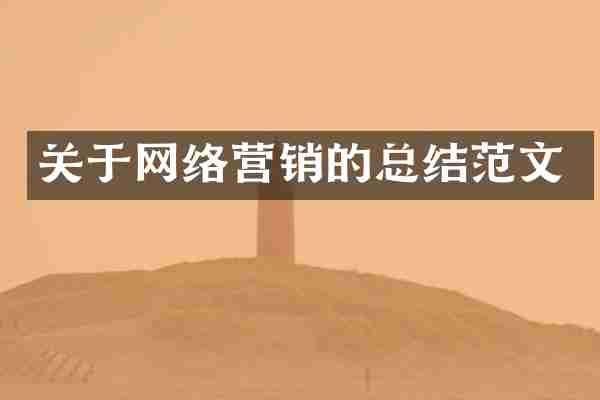 关于网络营销的总结范文