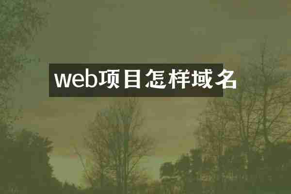 web项目怎样域名
