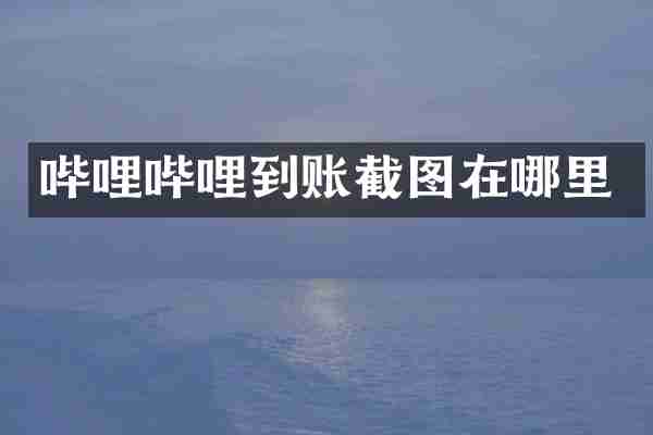 哔哩哔哩到账截图在哪里
