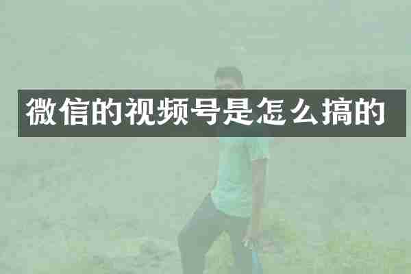 微信的视频号是怎么搞的