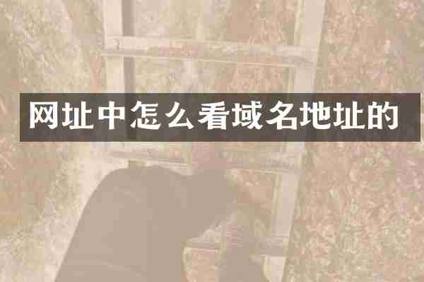 网址中怎么看域名地址的