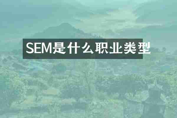 SEM是什么职业类型