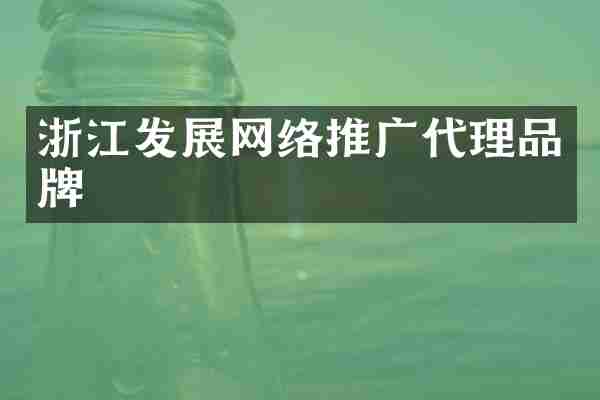 浙江发展网络推广代理品牌