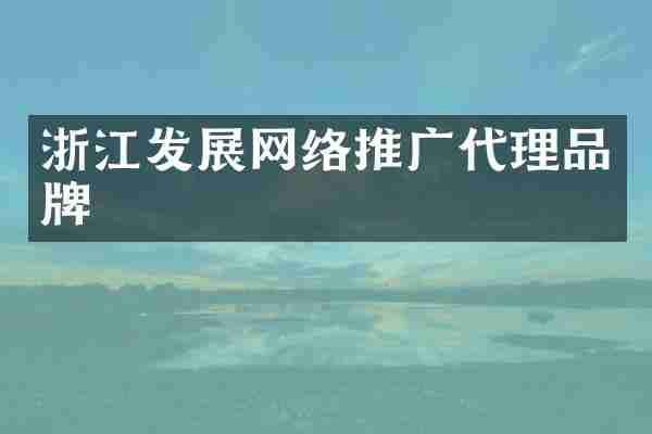 浙江发展网络推广代理品牌