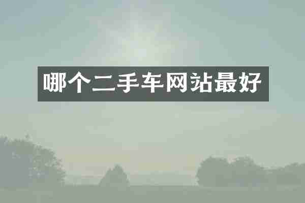 哪个二手车网站最好