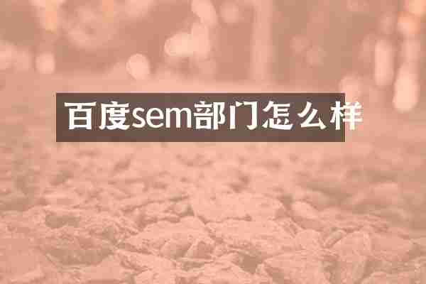 百度sem部门怎么样