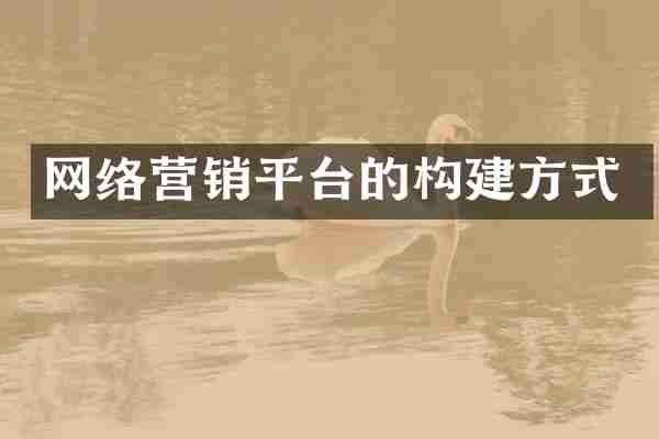 网络营销平台的构建方式
