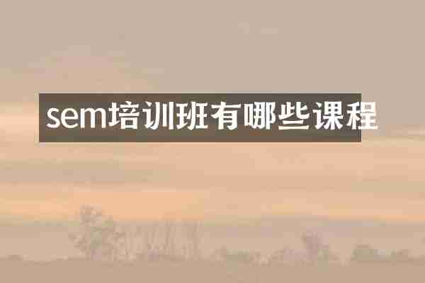 sem培训班有哪些课程