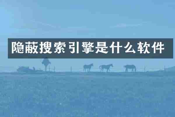 隐蔽搜索引擎是什么软件