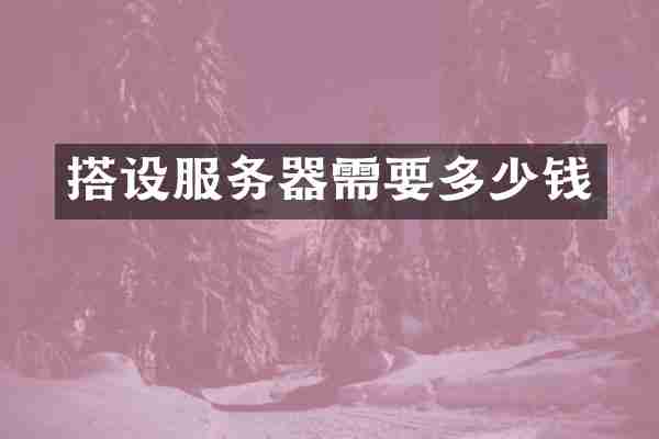 搭设服务器需要多少钱