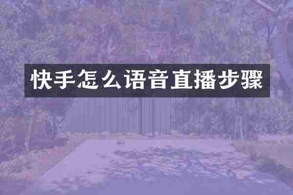 快手怎么语音直播步骤