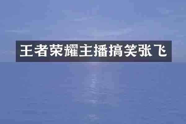 王者荣耀主播搞笑张飞