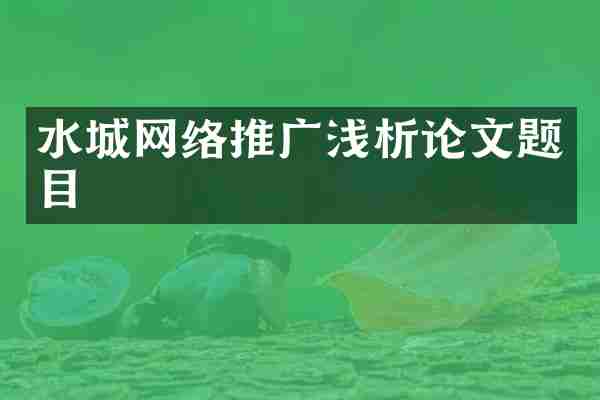 水城网络推广浅析论文题目