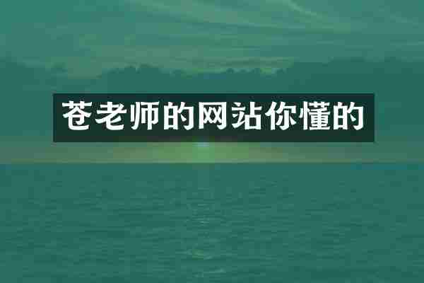 苍老师的网站你懂的