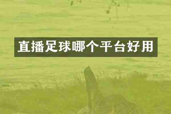 直播足球哪个平台好用