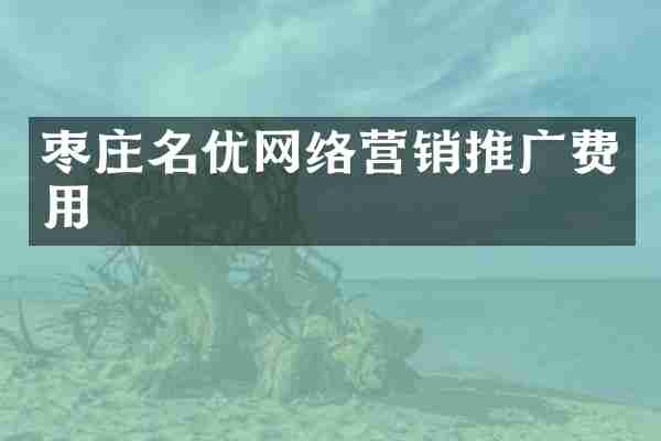 枣庄名优网络营销推广费用
