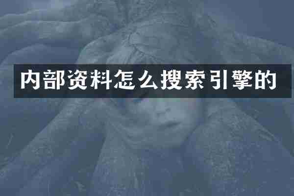 内部资料怎么搜索引擎的