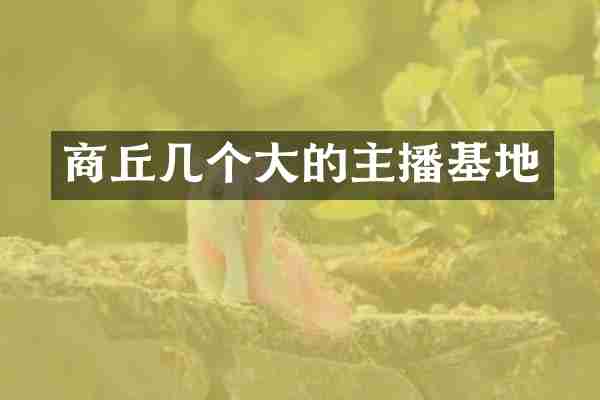 商丘几个大的主播基地