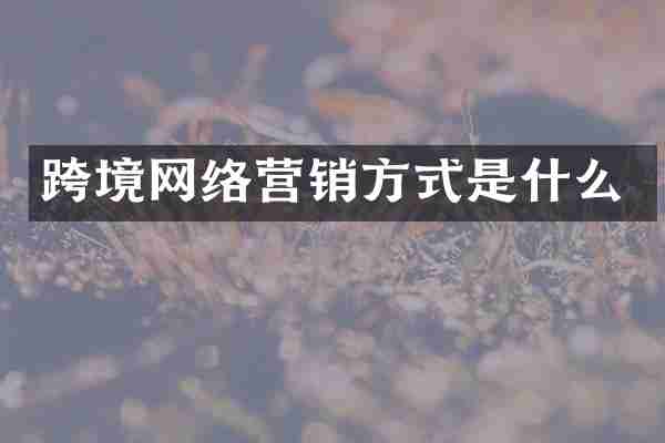 跨境网络营销方式是什么