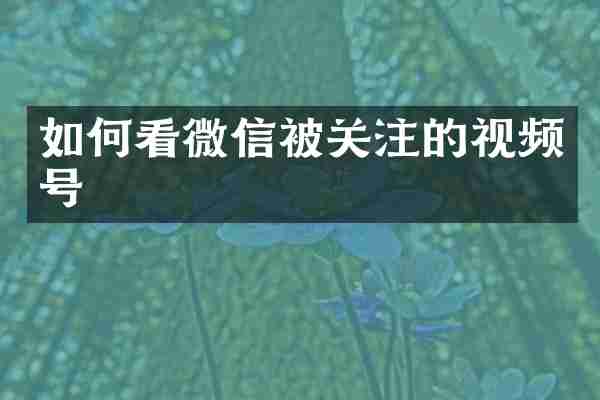 如何看微信被关注的视频号