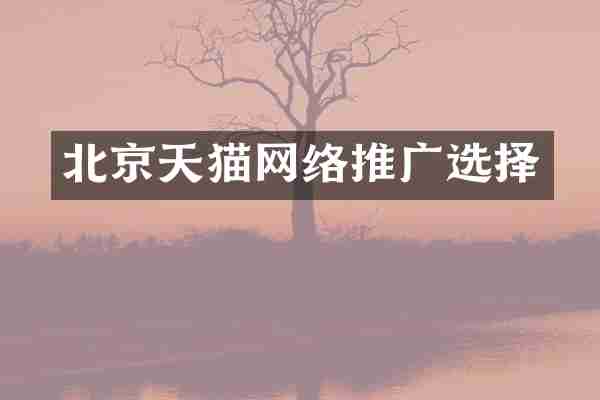北京天猫网络推广选择