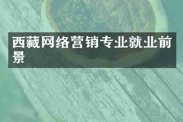 西藏网络营销专业就业前景