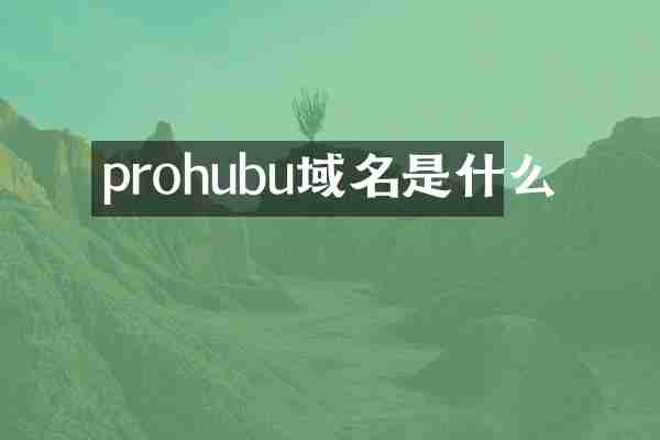 prohubu域名是什么