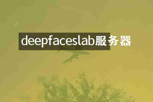 deepfaceslab服务器