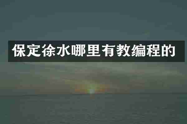 保定徐水哪里有教编程的