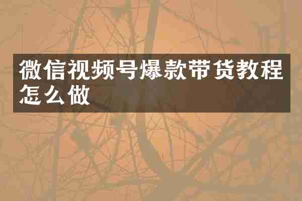 微信视频号爆款带货教程怎么做