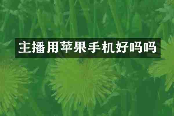 主播用苹果手机好吗吗